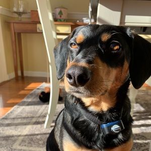 Meet your Posher, Danny